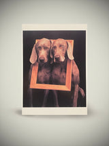 Postal 'Framed' - William Wegman, 1932