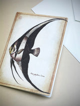 Greeting Card 'Angelfish'