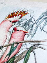 Tarjeta 'Cacatúas Rosas'