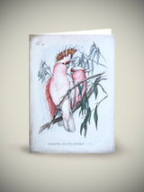 Tarjeta 'Cacatúas Rosas'