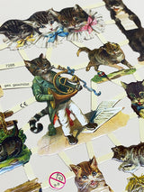 Hoja Cromos Alemanes 'Gatos'