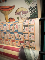 Papel Poster & Wrap 'Periodic Chart' - Cavallini & Co