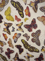 Papel Envoltorio 'Mariposas' - 100x70 cm