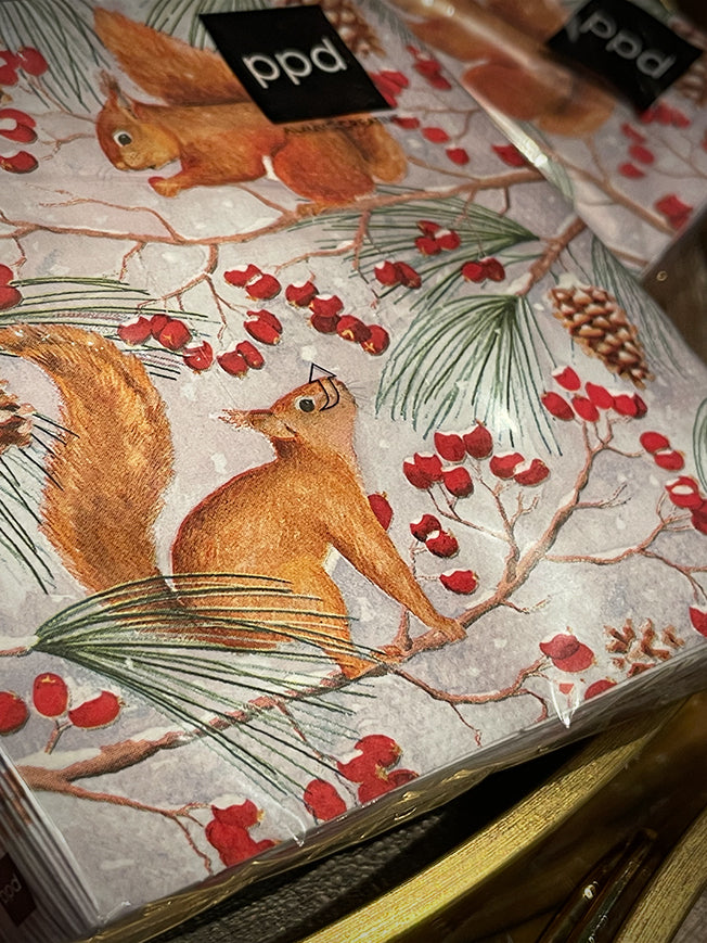 Pack de 20 Servilletas de Papel 'Squirrel Chat' - 25x25 cm