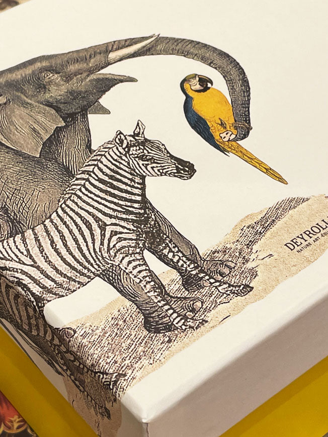 Medium 'Animalis' Box - Elephant, Parrot and Zebra - 20x20x11 cm