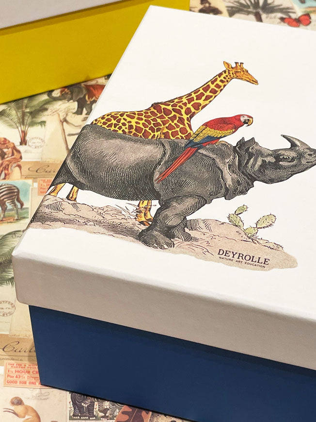 Large 'Animalis' Box - Rhinoceros, Parrot and Giraffe - 25x25x12 cm