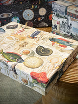 Caja Rectangular Grande 'Ocean' - 35x25x6 cm