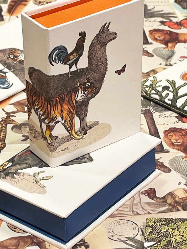 Mini Caja 'Animalis' - Tigre, Llama y Gallo - 9,5x6,5x3 cm