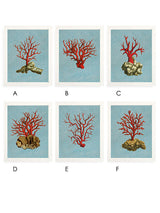 Láminas Decorativas 'Corales Rojos'