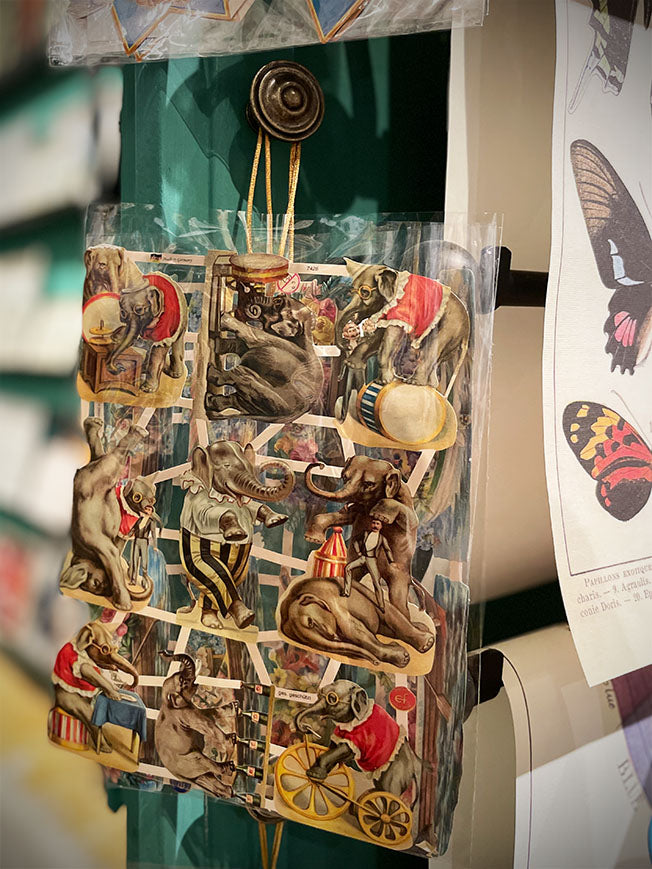 Hoja Cromos Alemanes 'Elefantes del Circo'