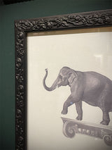 Cuadro Decorativo 'Elefante Sobre Capitel' - 25,5x20,5 cm