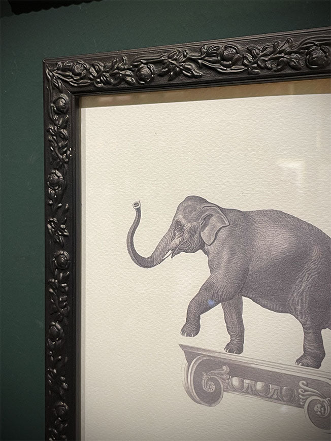 Cuadro Decorativo 'Elefante Sobre Capitel' - 25,5x20,5 cm