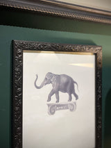 Cuadro Decorativo 'Elefante Sobre Capitel' - 25,5x20,5 cm