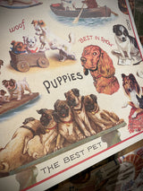 Papel Poster & Wrap 'Vintage Dogs II' - Cavallini & Co