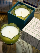 'Tulip' Candle 155 gms - Verbena & Lemongrass