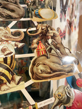 Hoja Cromos Alemanes 'Elefantes del Circo'