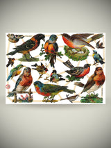 Hoja Cromos Alemanes 'Pájaros'