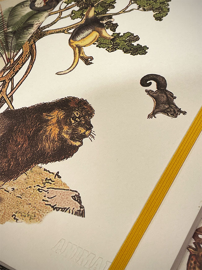 Cuaderno A5 'Animalis' - León, Mono y Lemur