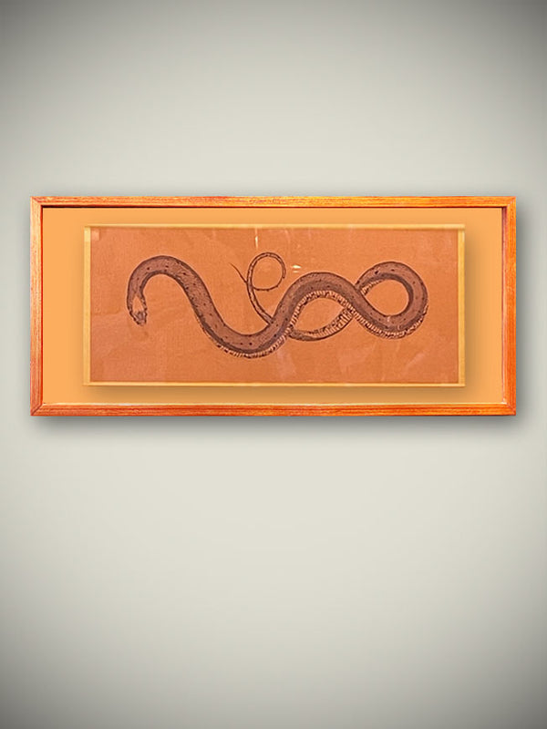 Cuadro Decorativo 'Serpiente' En Marco Vitrina