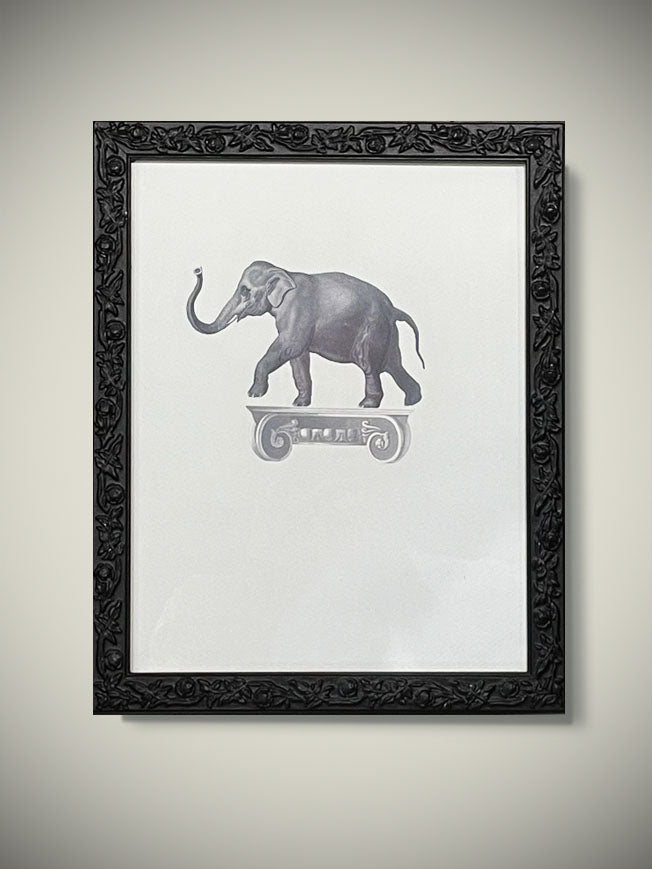 Cuadro Decorativo 'Elefante Sobre Capitel' - 25,5x20,5 cm