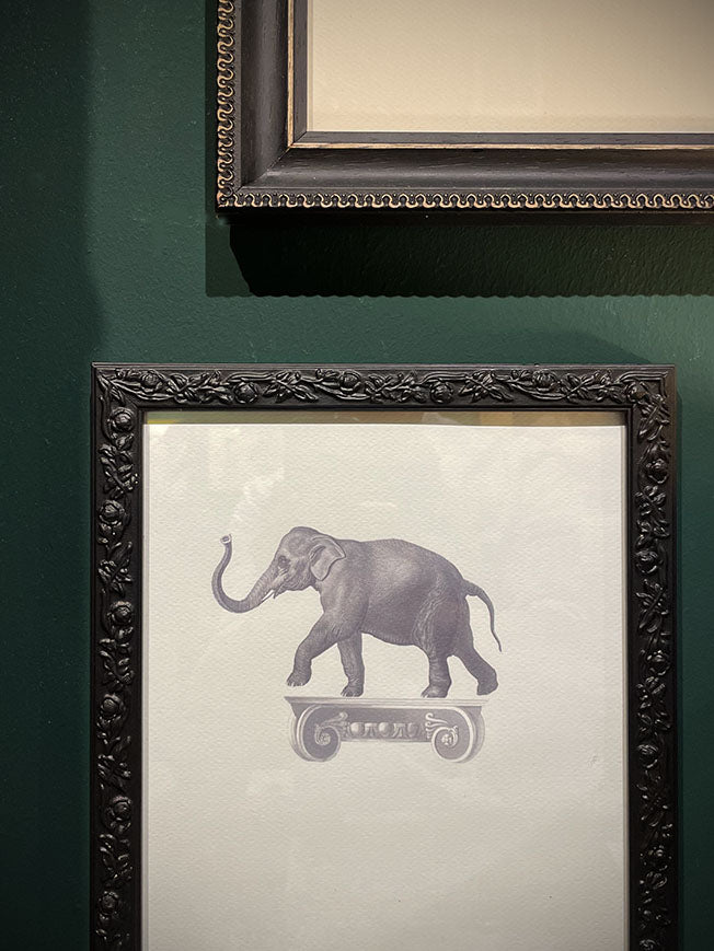 Cuadro Decorativo 'Elefante Sobre Capitel' - 25,5x20,5 cm