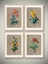 Decorative Art Prints 'Botany'