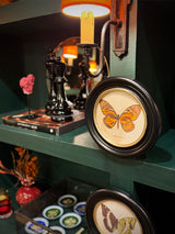 Lámina Decorativa 'Mariposa P. Zagreus Doubl.'