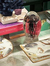 decoracion-de-escritorio-con-pisapapeles-de-cristal-y-medusa