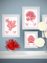 decoración de pared con cuadros con corales rojos