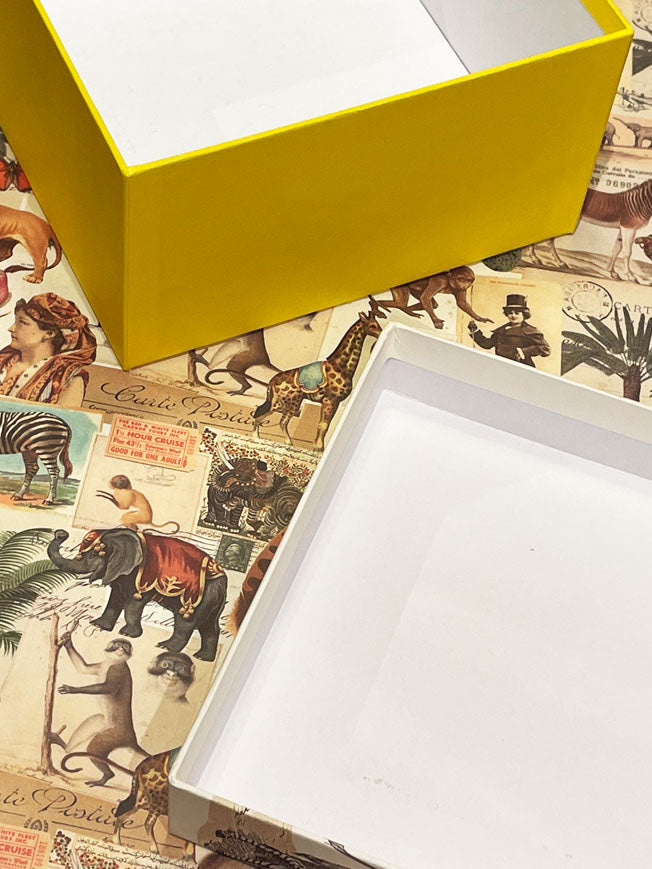 Caja 'Animalis' Mediana - Elefante, Loro y Cebra - 20x20x11 cm