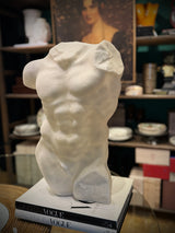 Busto Decorativo Clásico 'Apollon'