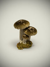 Figura Setas Decorativas 'Mushrooms' - Verde