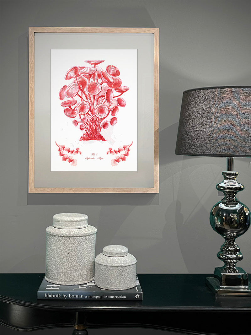 decoración con cuadros clásicos de corales rojos