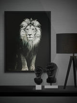 Framed Print 'Lion' - 50x70 cm