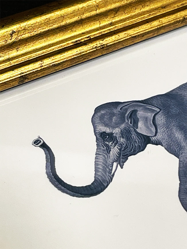 Pequeño Cuadro Decorativo 'Elefante Sobre Capitel' - 10x15 cm