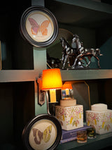 Lámina Decorativa 'Mariposa T. Clarissa Boisd.'