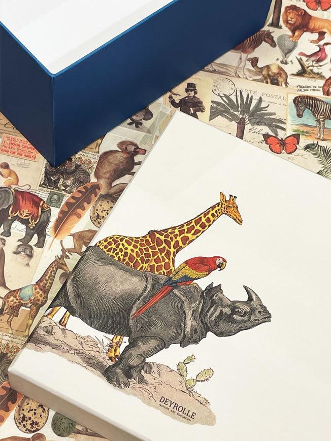 Large 'Animalis' Box - Rhinoceros, Parrot and Giraffe - 25x25x12 cm