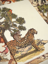 Libreta A5 'Animalis' - Leopardo, Loro y Lemur