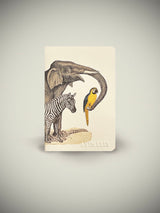 Mini Notebook 'Animalis' - Elephant, Parrot and Zebra