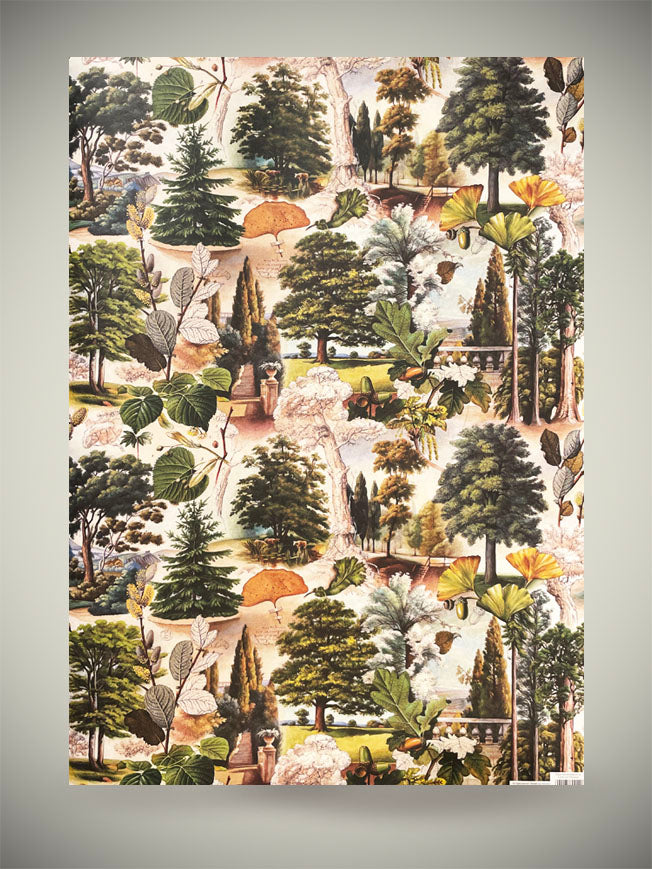 Wrapping Paper 'The Mysterious Life of Trees' | 100x70cm – Tartan & Zebra