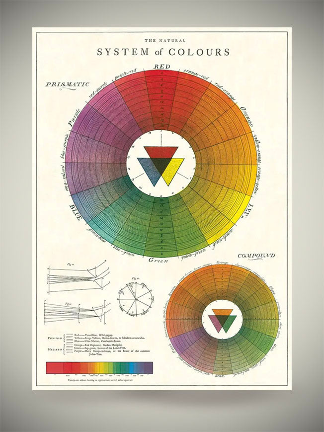 Comprar Papeles y Láminas Color Wheel de Cavallini | Tartan & Zebra
