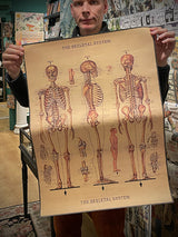 Papel Poster & Wrap 'Skeleton' - Cavallini & Co