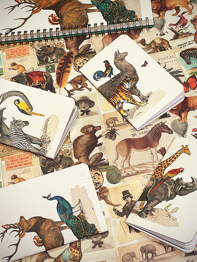 Mini Notebook 'Animalis' - Rhinoceros, Parrot and Giraffe
