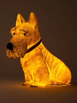 Lámpara de Noche 'Perro Scottie'