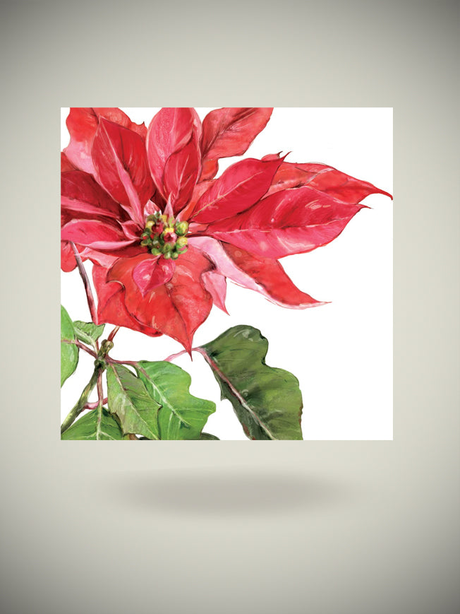 Pack de 20 Servilletas de Papel 'Poinsettia Rouge' - 33x33 cm