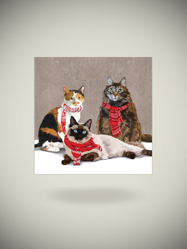 Pack de 20 Servilletas de Papel 'Scarf Cats' - 25x25 cm