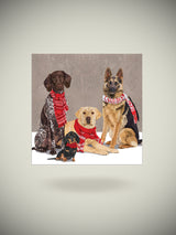 Pack de 20 Servilletas de Papel 'Scarf Dogs' - 25x25 cm