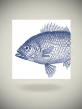 servilletas-fish-marine-pez-azul