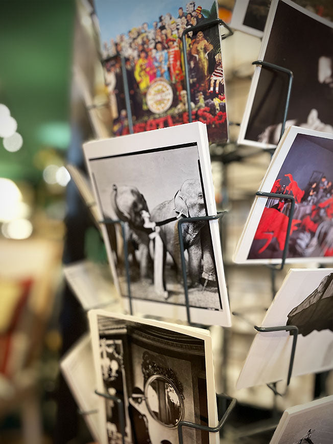 Postal 'Dovima with Elephants' - Richard Avedon, 1955