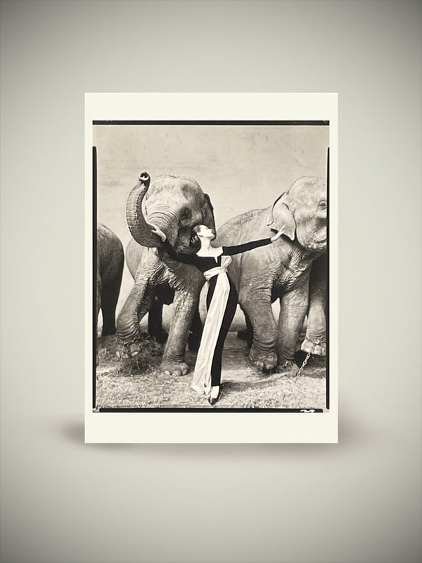 Postal 'Dovima with Elephants' - Richard Avedon, 1955